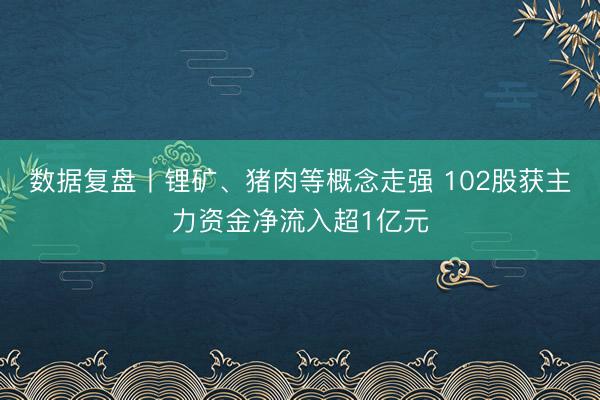数据复盘丨锂矿、猪肉等概念走强 102股获主力资金净流入超1亿元