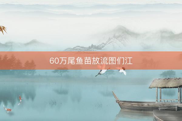 60万尾鱼苗放流图们江