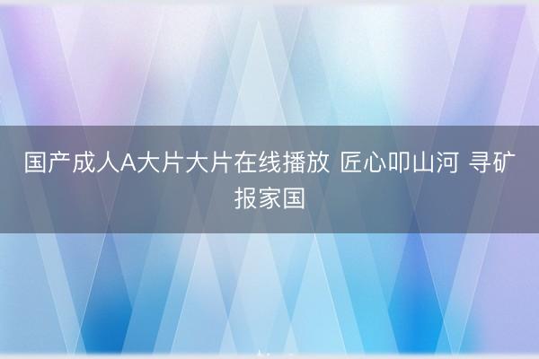 国产成人A大片大片在线播放 匠心叩山河 寻矿报家国