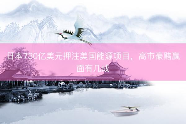 日本730亿美元押注美国能源项目，高市豪赌赢面有几成