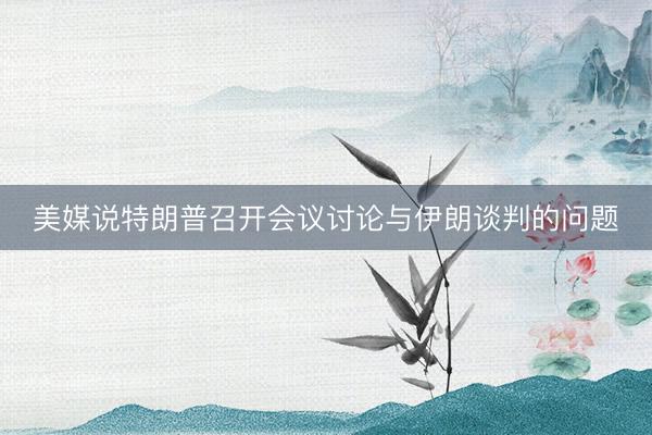 美媒说特朗普召开会议讨论与伊朗谈判的问题