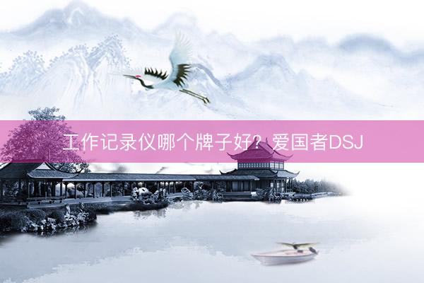 工作记录仪哪个牌子好？爱国者DSJ