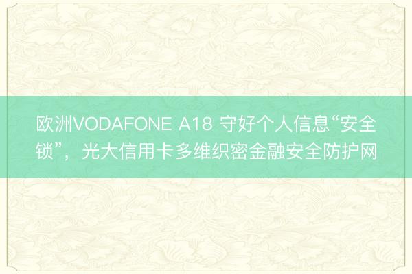欧洲VODAFONE A18 守好个人信息“安全锁”，光大信用卡多维织密金融安全防护网