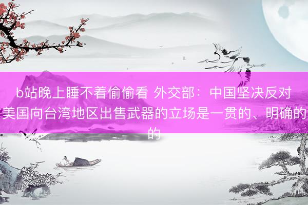 b站晚上睡不着偷偷看 外交部：中国坚决反对美国向台湾地区出售武器的立场是一贯的、明确的