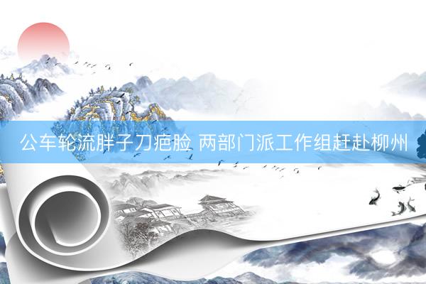 公车轮流胖子刀疤脸 两部门派工作组赶赴柳州