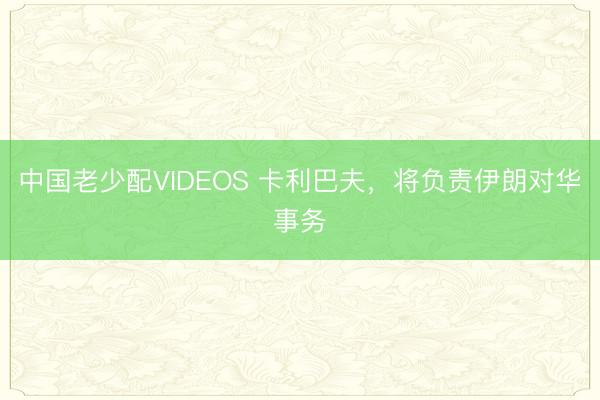 中国老少配VIDEOS 卡利巴夫，将负责伊朗对华事务