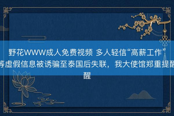 野花WWW成人免费视频 多人轻信“高薪工作”等虚假信息被诱骗至泰国后失联，我大使馆郑重提醒