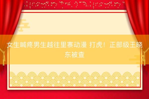 女生喊疼男生越往里寨动漫 打虎！正部级王晓东被查