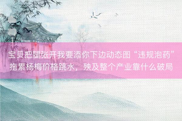 宝贝把腿张开我要添你下边动态图 “违规泡药”拖累杨梅价格跳水，殃及整个产业靠什么破局