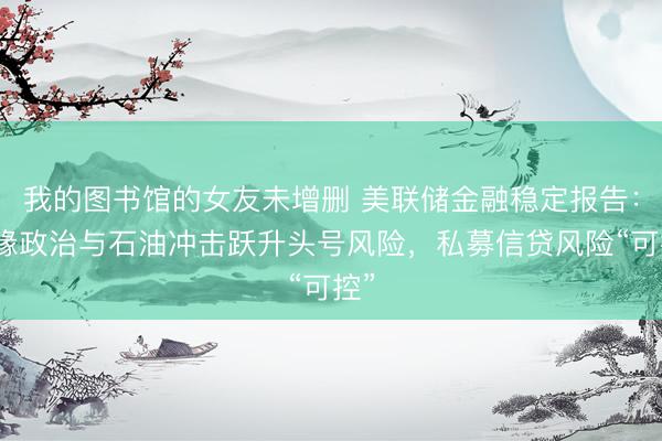 我的图书馆的女友未增删 美联储金融稳定报告:地缘政治与石油冲击跃升头号风险,私募信贷风险“可控”
