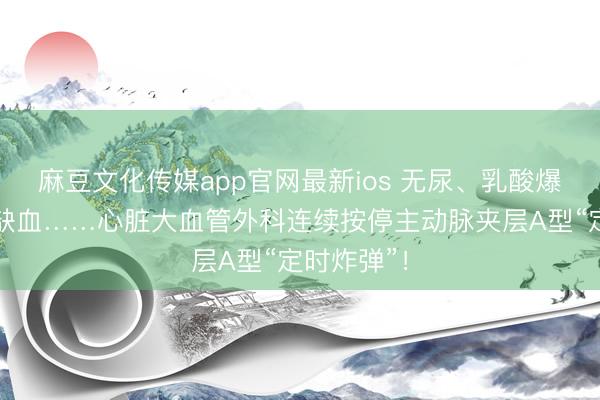 麻豆文化传媒app官网最新ios 无尿、乳酸爆表、肠道缺血……心脏大血管外科连续按停主动脉夹层A型“定时炸弹”!