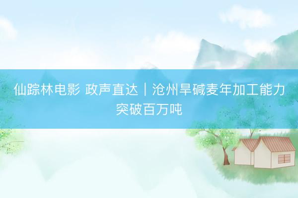仙踪林电影 政声直达｜沧州旱碱麦年加工能力突破百万吨