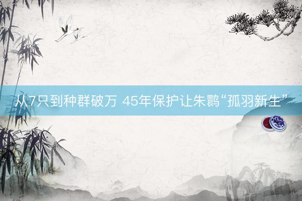 从7只到种群破万 45年保护让朱鹮“孤羽新生”