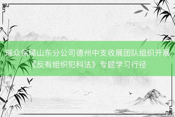 瑞众保障山东分公司德州中支收展团队组织开展《反有组织犯科法》专题学习行径