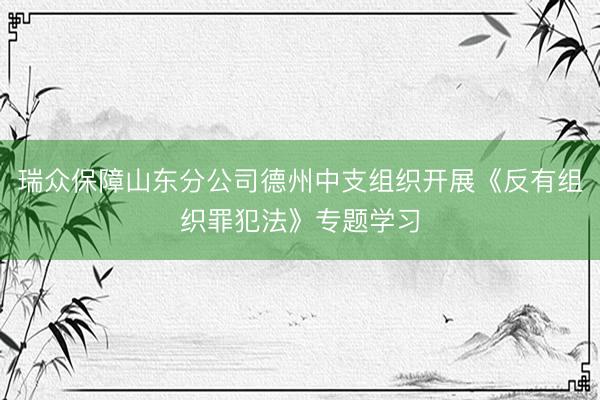 瑞众保障山东分公司德州中支组织开展《反有组织罪犯法》专题学习