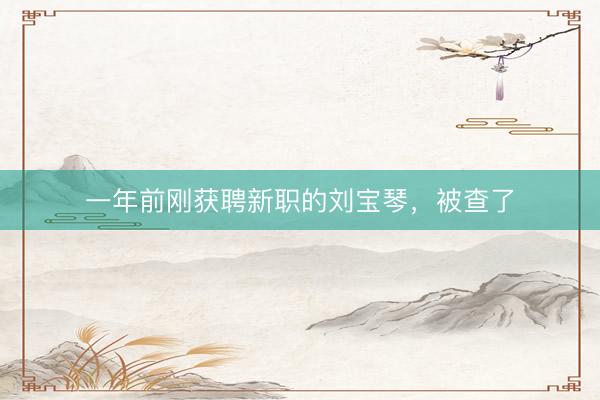 一年前刚获聘新职的刘宝琴，被查了