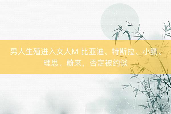 男人生殖进入女人M 比亚迪、特斯拉、小鹏、理思、蔚来，否定被约谈