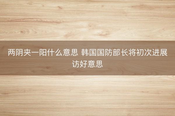 两阴夹一阳什么意思 韩国国防部长将初次进展访好意思