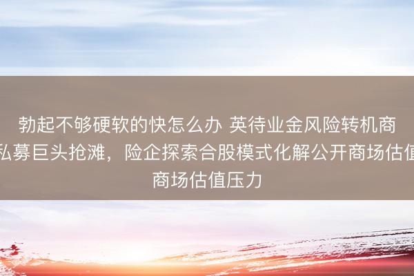 勃起不够硬软的快怎么办 英待业金风险转机商场引私募巨头抢滩，险企探索合股模式化解公开商场估值压力