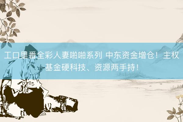 工口里番全彩人妻啪啪系列 中东资金增仓！主权基金硬科技、资源两手持！