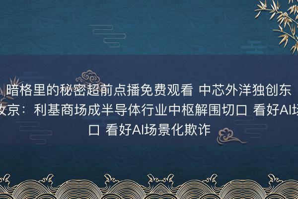暗格里的秘密超前点播免费观看 中芯外洋独创东说念办法汝京：利基商场成半导体行业中枢解围切口 看好AI场景化欺诈