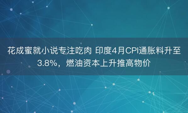 花成蜜就小说专注吃肉 印度4月CPI通胀料升至3.8%，燃油资本上升推高物价