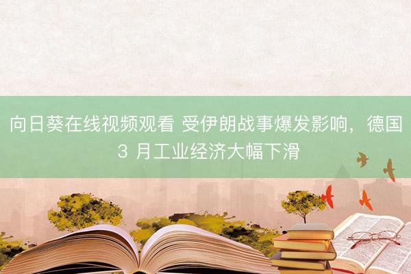 向日葵在线视频观看 受伊朗战事爆发影响，德国 3 月工业经济大幅下滑