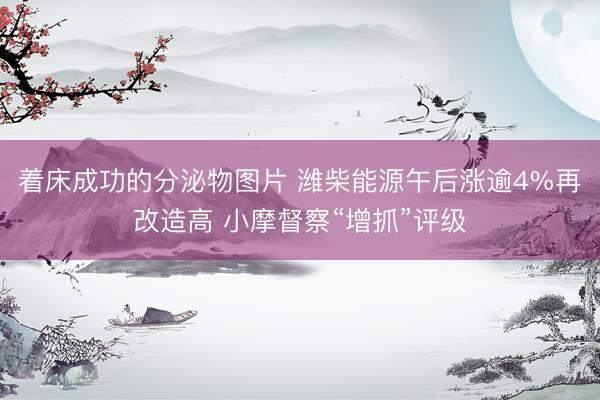 着床成功的分泌物图片 潍柴能源午后涨逾4%再改造高 小摩督察“增抓”评级