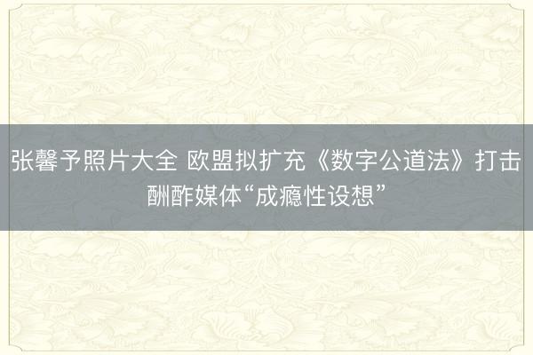 张馨予照片大全 欧盟拟扩充《数字公道法》打击酬酢媒体“成瘾性设想”