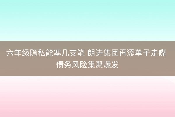六年级隐私能塞几支笔 朗进集团再添单子走嘴 债务风险集聚爆发