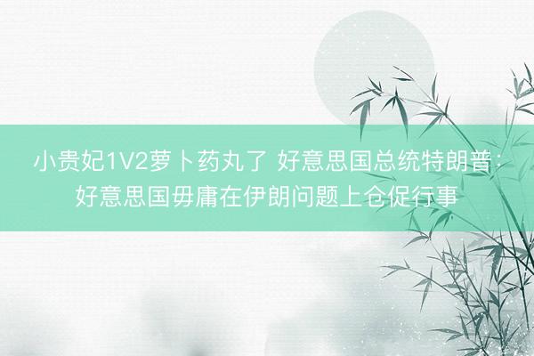 小贵妃1V2萝卜药丸了 好意思国总统特朗普：好意思国毋庸在伊朗问题上仓促行事