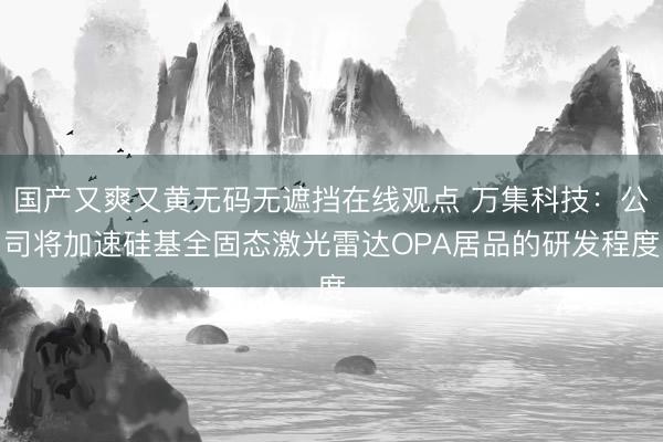 国产又爽又黄无码无遮挡在线观点 万集科技：公司将加速硅基全固态激光雷达OPA居品的研发程度