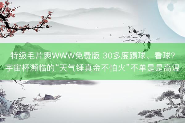 特级毛片爽WWW免费版 30多度踢球、看球？宇宙杯濒临的“天气锤真金不怕火”不单是是高温