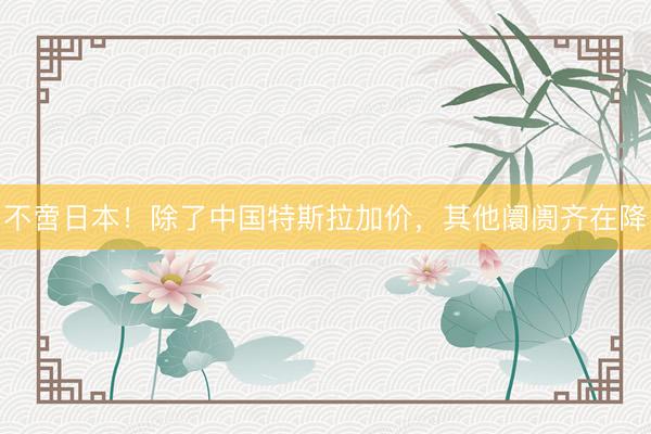 不啻日本！除了中国特斯拉加价，其他阛阓齐在降