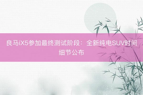 良马iX5参加最终测试阶段：全新纯电SUV时间细节公布