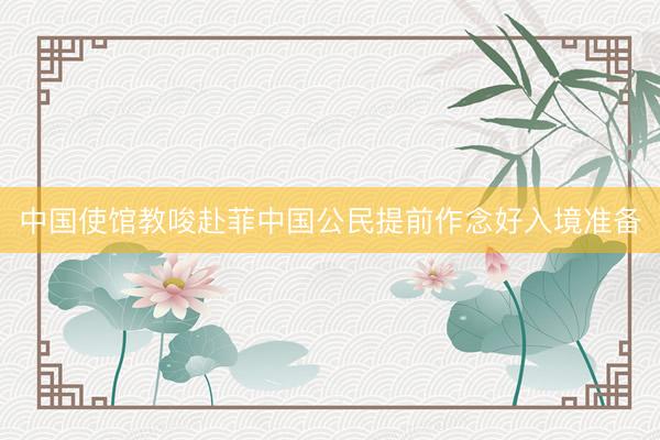 中国使馆教唆赴菲中国公民提前作念好入境准备