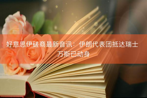 好意思伊磋商最新音讯：伊朗代表团抵达瑞士 万斯已动身